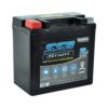 SS-BW14 Euro Aux. AGM Battery - Image 2