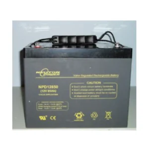 Neuton AGM D/Cycle Battery