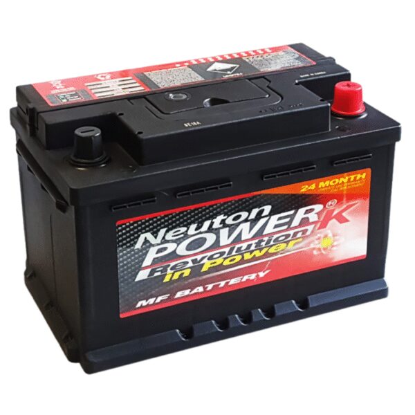 Neuton (DIN66) Euro Battery